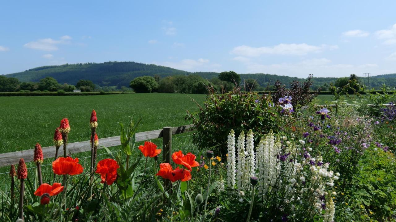Country Cottage With Far Reaching Views Presteigne Exterior photo